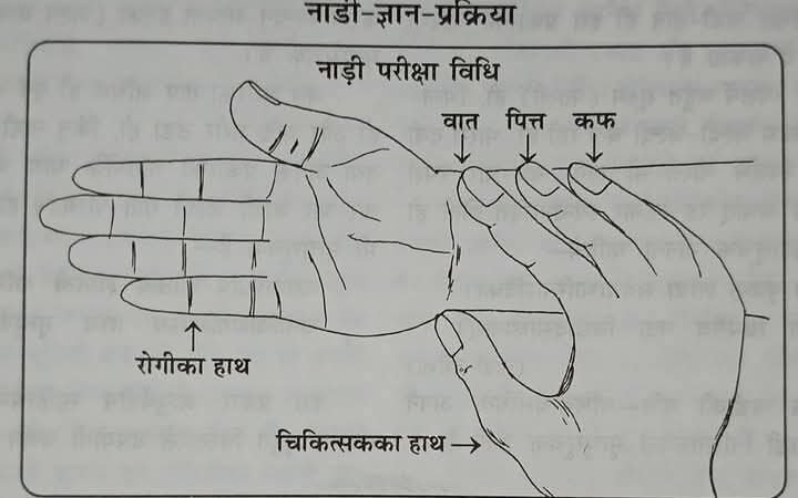 ••••••••नाडी-विज्ञान•••••••