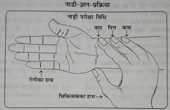 ••••••••नाडी-विज्ञान•••••••